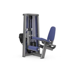 LEG EXTENSION