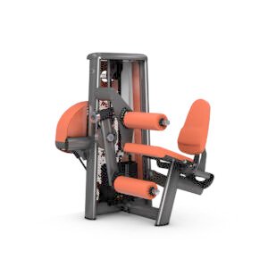LEG CURL AND LEG EXTENSION COMBO