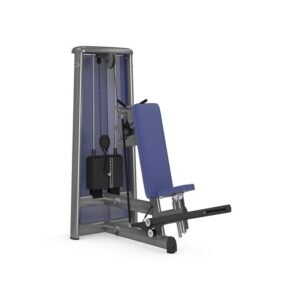 TRICEPS OVERHEAD