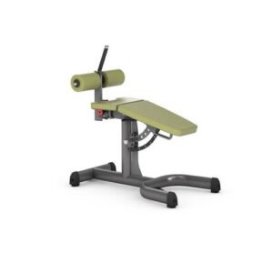 4165 BASIC ROMAN CHAIR ADJUSTABLE