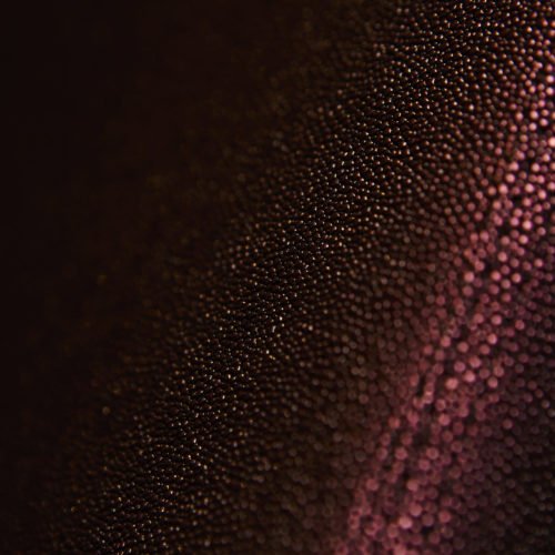 crazycolor_2019_-41-500x500