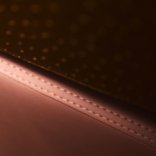 crazycolor_2019_-45-500x500