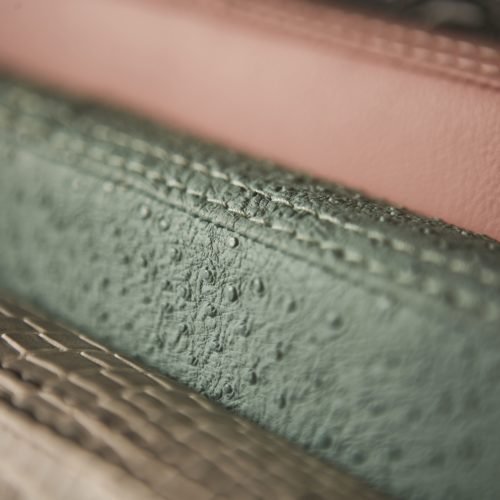 crazycolor_2019_-46-500x500