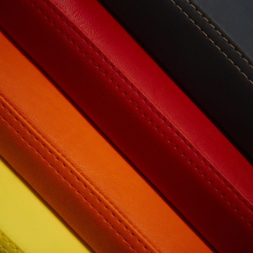 crazycolor_2019_-47-500x500